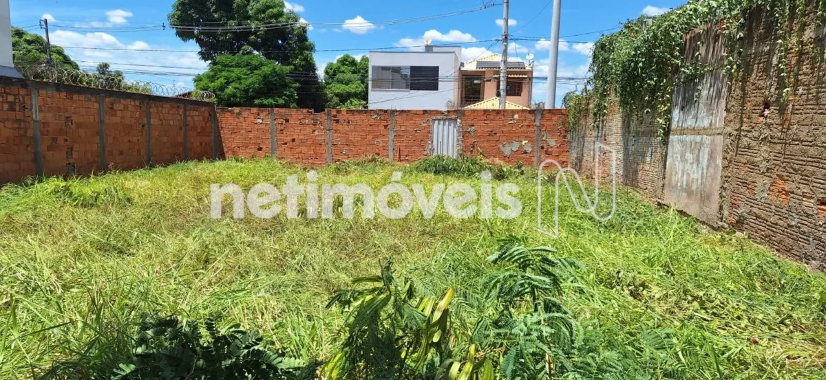 Lote para Venda com área de 660 m² no bairro Vila Mauricéia
