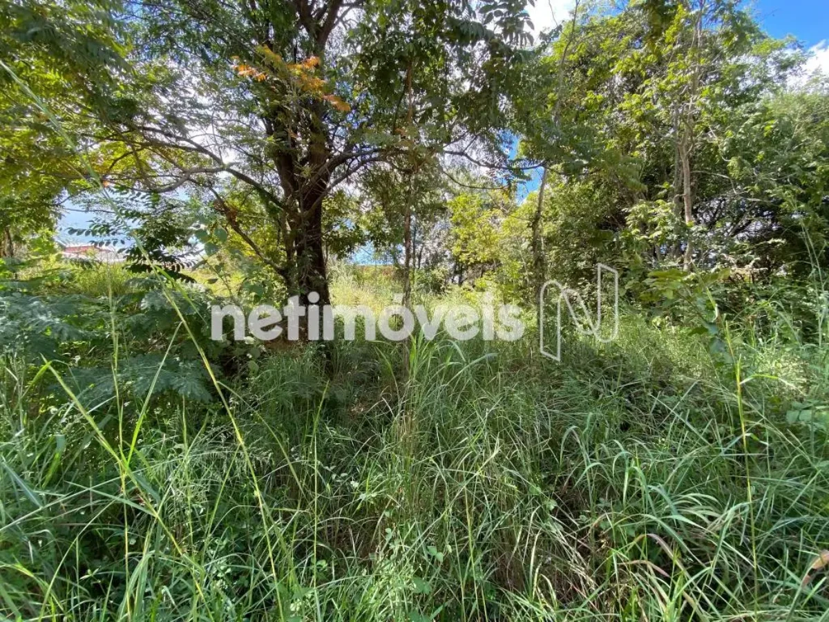 Lote para Venda com área de 495 m² no bairro Jaraguá I
