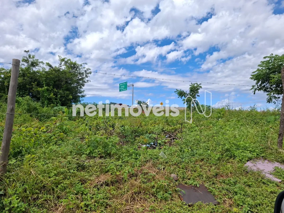 Lote para Venda com área de 5000 m² no bairro Vila Sion
