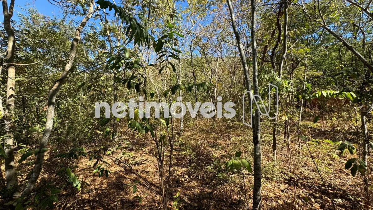 Lote para Venda com área de 3276 m² no bairro Ibituruna