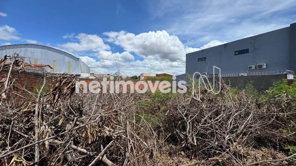 Lote para Venda com área de 723 m² no bairro Alice Maia