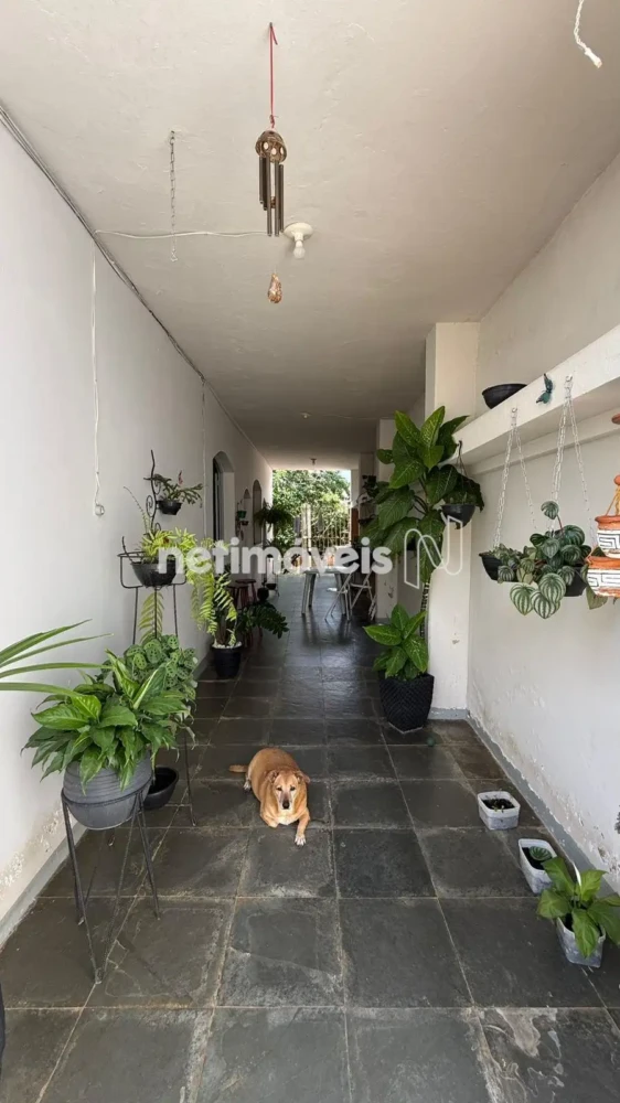 Casa para Venda com 7 quartos no bairro Cândida Câmara