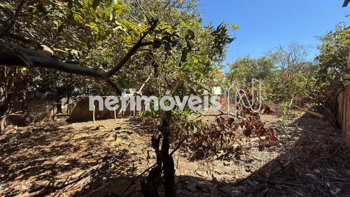 Lote para Venda com área de 422 m² no bairro Vera Cruz