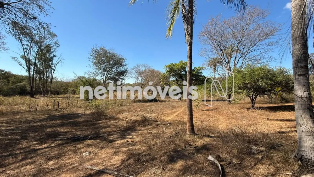 Lote para Venda com área de 70000 m² no bairro Jardim Primavera