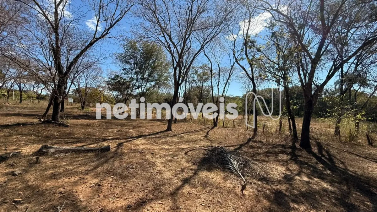 Lote para Venda com área de 70000 m² no bairro Jardim Primavera