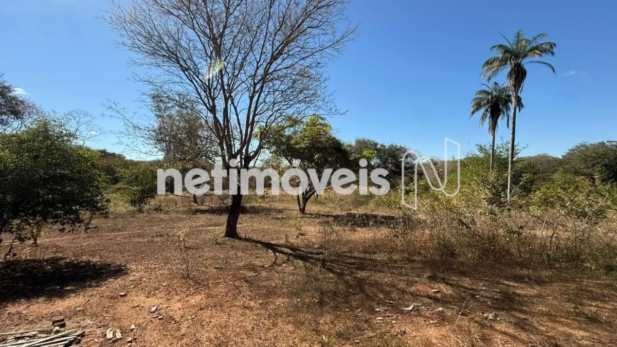 Lote para Venda com área de 70000 m² no bairro Jardim Primavera