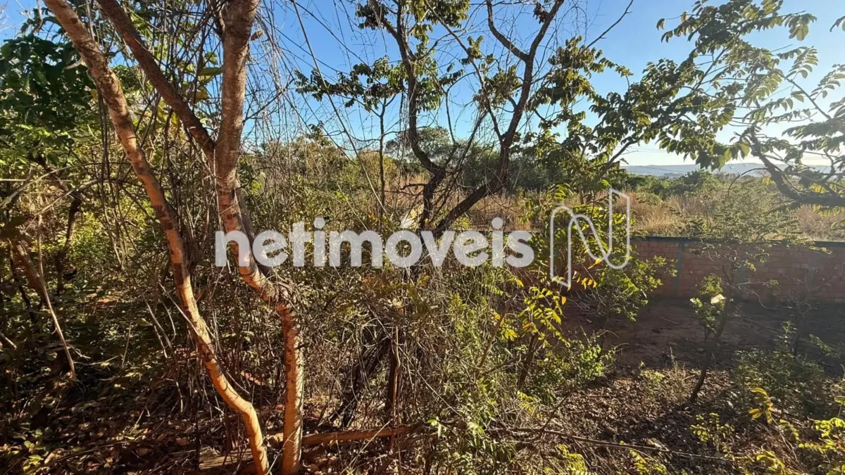 Lote para Venda com área de 1190 m² no bairro Independência