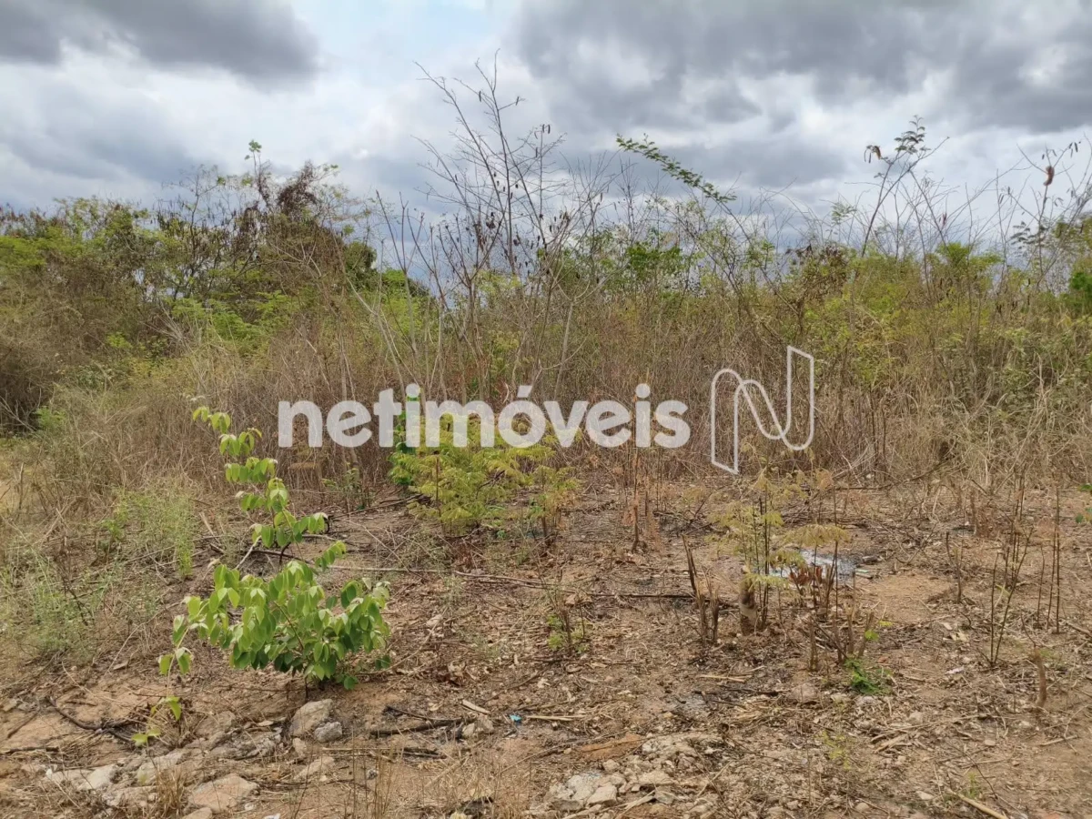 Lote para Venda com área de 240 m² no bairro Jaraguá I
