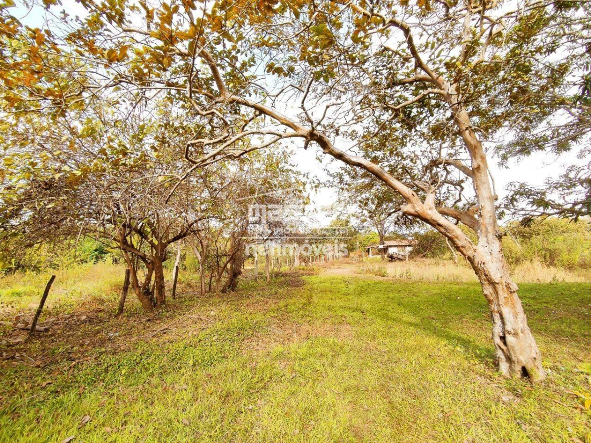 Sítio para Locação no bairro Zona Rural