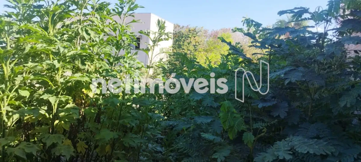 Lote para Venda com área de 318.94 m² no bairro Barcelona Park