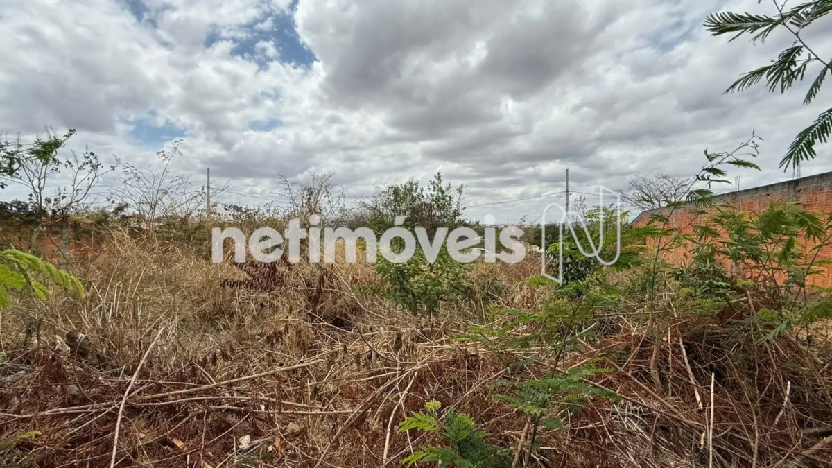 Lote para Venda com área de 553.5 m² no bairro Jardim Liberdade