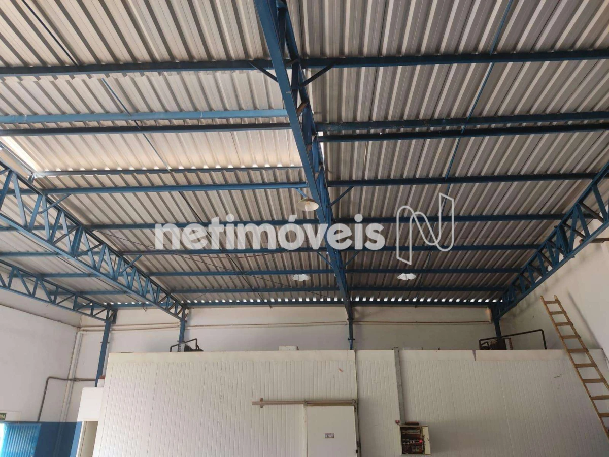 Galpão para Venda com área de 373 m² no bairro Canelas